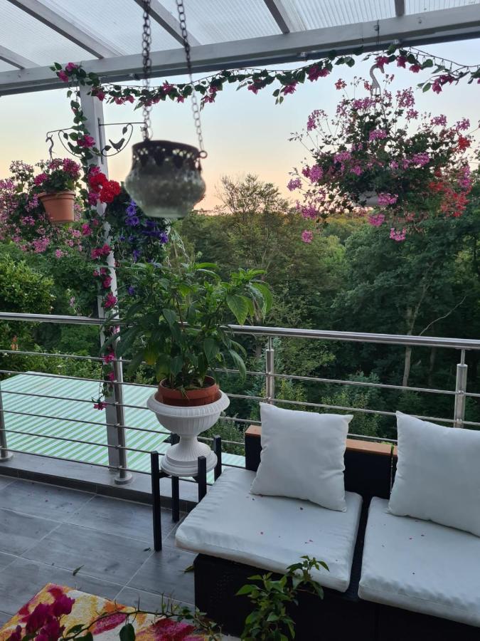 Cozy Room With A Beautiful Garden View Baunatal Exteriér fotografie